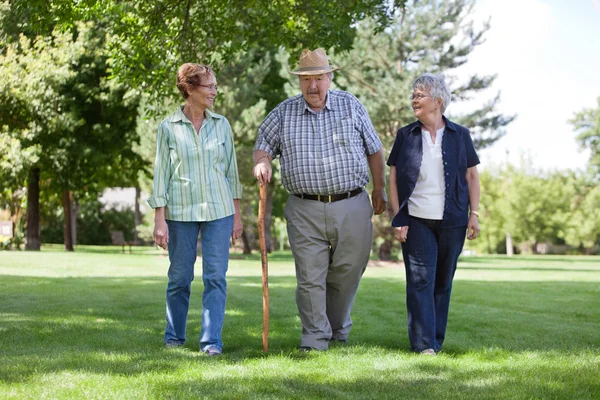 depositphotos_7405275-stock-photo-senior-friends-walking-in-park